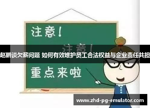 赵鹏谈欠薪问题 如何有效维护员工合法权益与企业责任共担