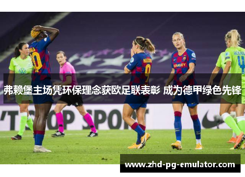 弗赖堡主场凭环保理念获欧足联表彰 成为德甲绿色先锋