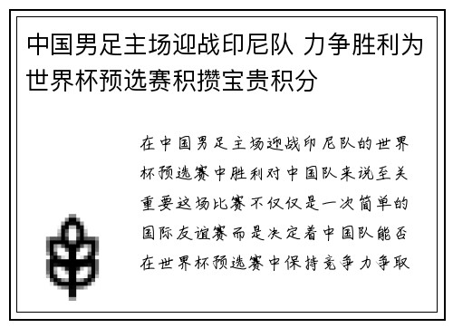 中国男足主场迎战印尼队 力争胜利为世界杯预选赛积攒宝贵积分
